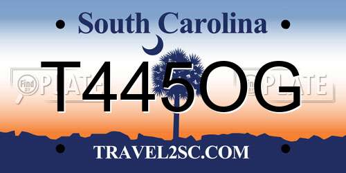 T445OG South Carolina License Plate