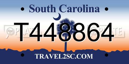 T448864 South Carolina License Plate