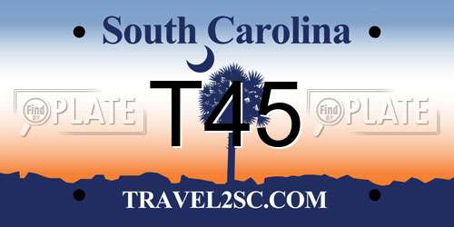 T45 South Carolina License Plate