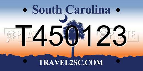 T450123 South Carolina License Plate