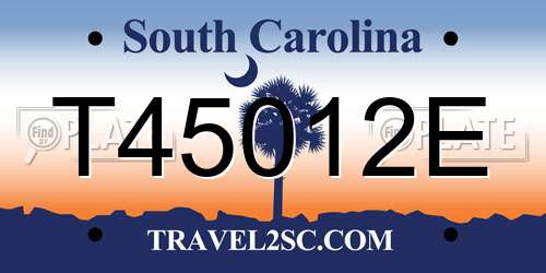 T45012E South Carolina License Plate