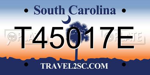 T45017E South Carolina License Plate