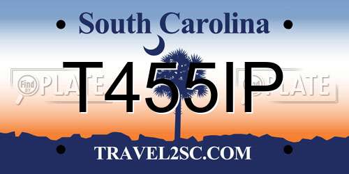 T455IP South Carolina License Plate