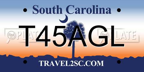 T45AGL South Carolina License Plate