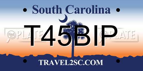 T45BIP South Carolina License Plate