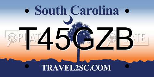 T45GZB South Carolina License Plate