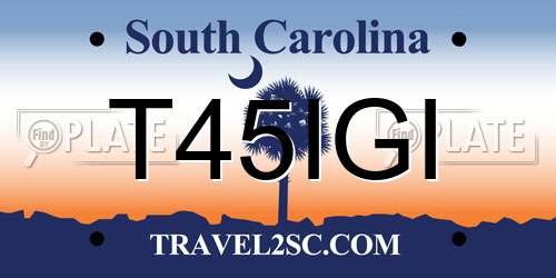 T45IGI South Carolina License Plate