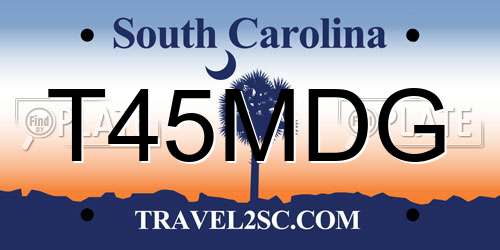 T45MDG South Carolina License Plate