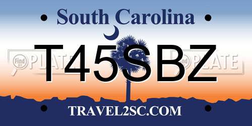 T45SBZ South Carolina License Plate