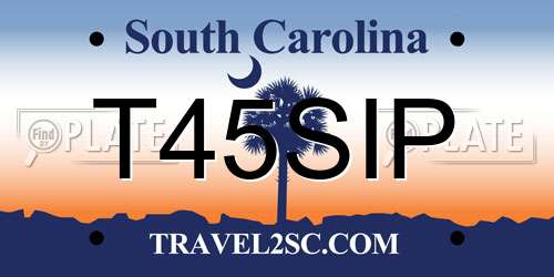 T45SIP South Carolina License Plate