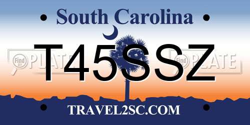 T45SSZ South Carolina License Plate