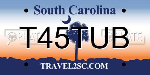T45TUB South Carolina License Plate