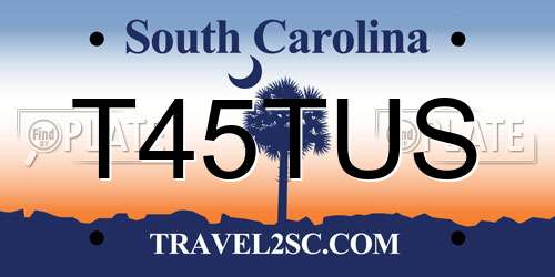 T45TUS South Carolina License Plate