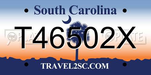 T46502X South Carolina License Plate