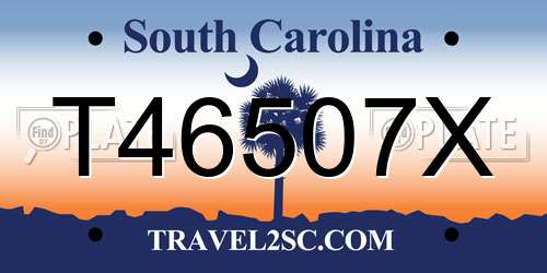 T46507X South Carolina License Plate