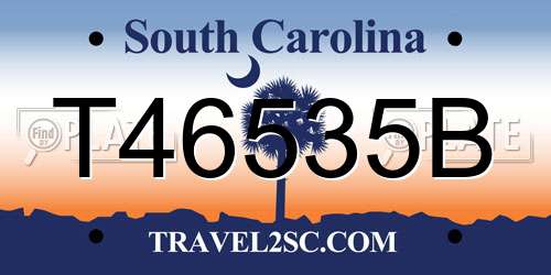 T46535B South Carolina License Plate