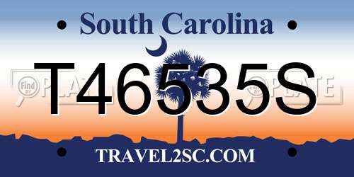 T46535S South Carolina License Plate