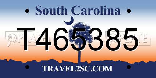 T465385 South Carolina License Plate