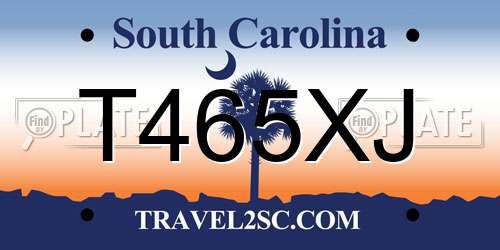 T465XJ South Carolina License Plate