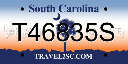 T46835S South Carolina License Plate