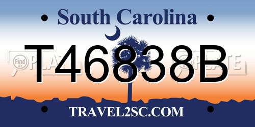 T46838B South Carolina License Plate
