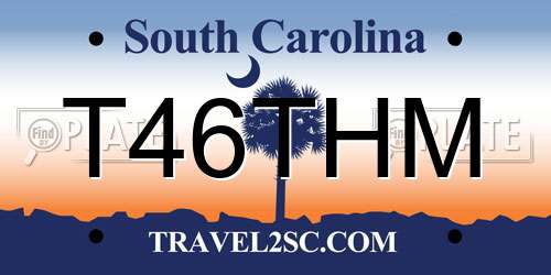 T46THM South Carolina License Plate