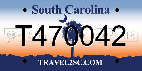 T470042 South Carolina License Plate