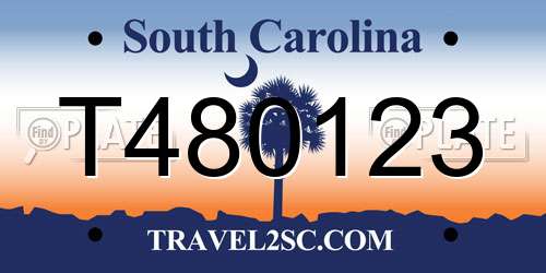 T480123 South Carolina License Plate