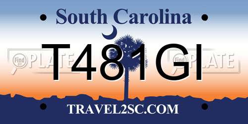 T481GI South Carolina License Plate