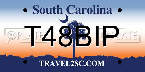 T48BIP South Carolina License Plate