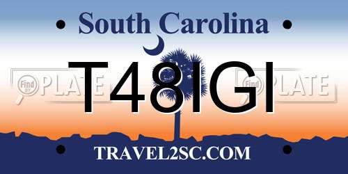 T48IGI South Carolina License Plate