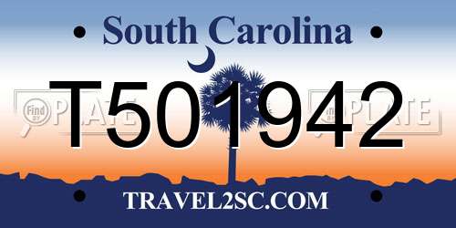 T501942 South Carolina License Plate
