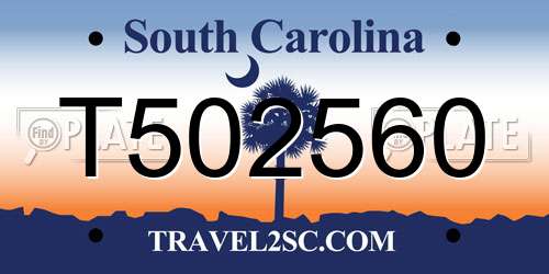 T502560 South Carolina License Plate