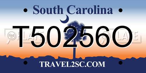 T50256O South Carolina License Plate