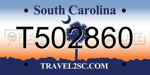 T502860 South Carolina License Plate