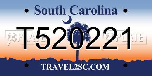 T520221 South Carolina License Plate