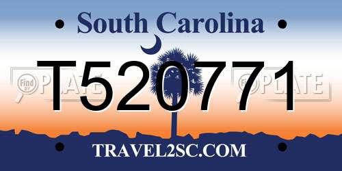 T520771 South Carolina License Plate