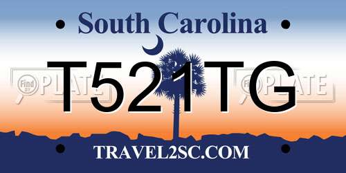T521TG South Carolina License Plate
