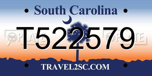 T522579 South Carolina License Plate