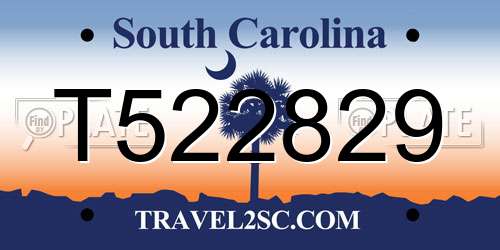 T522829 South Carolina License Plate