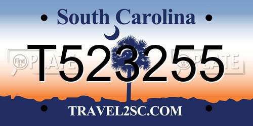 T523255 South Carolina License Plate