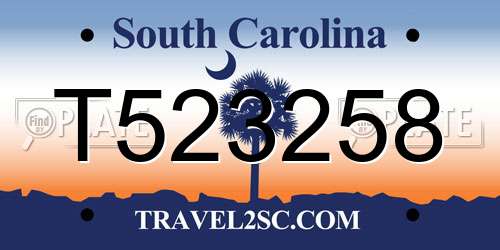 T523258 South Carolina License Plate