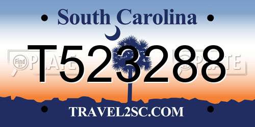 T523288 South Carolina License Plate