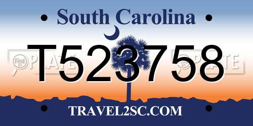 T523758 South Carolina License Plate