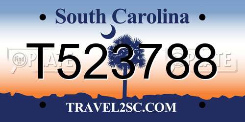 T523788 South Carolina License Plate