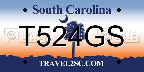 T524GS South Carolina License Plate