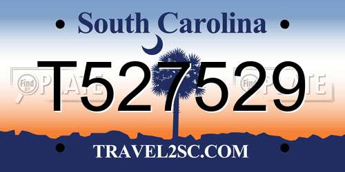 T527529 South Carolina License Plate