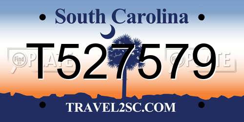 T527579 South Carolina License Plate