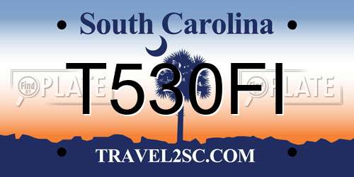 T530FI South Carolina License Plate