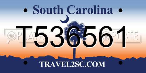 T536561 South Carolina License Plate